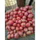 Onions 50KG RS 1750