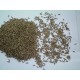 CUMIN SEEDS 1KG RS 38